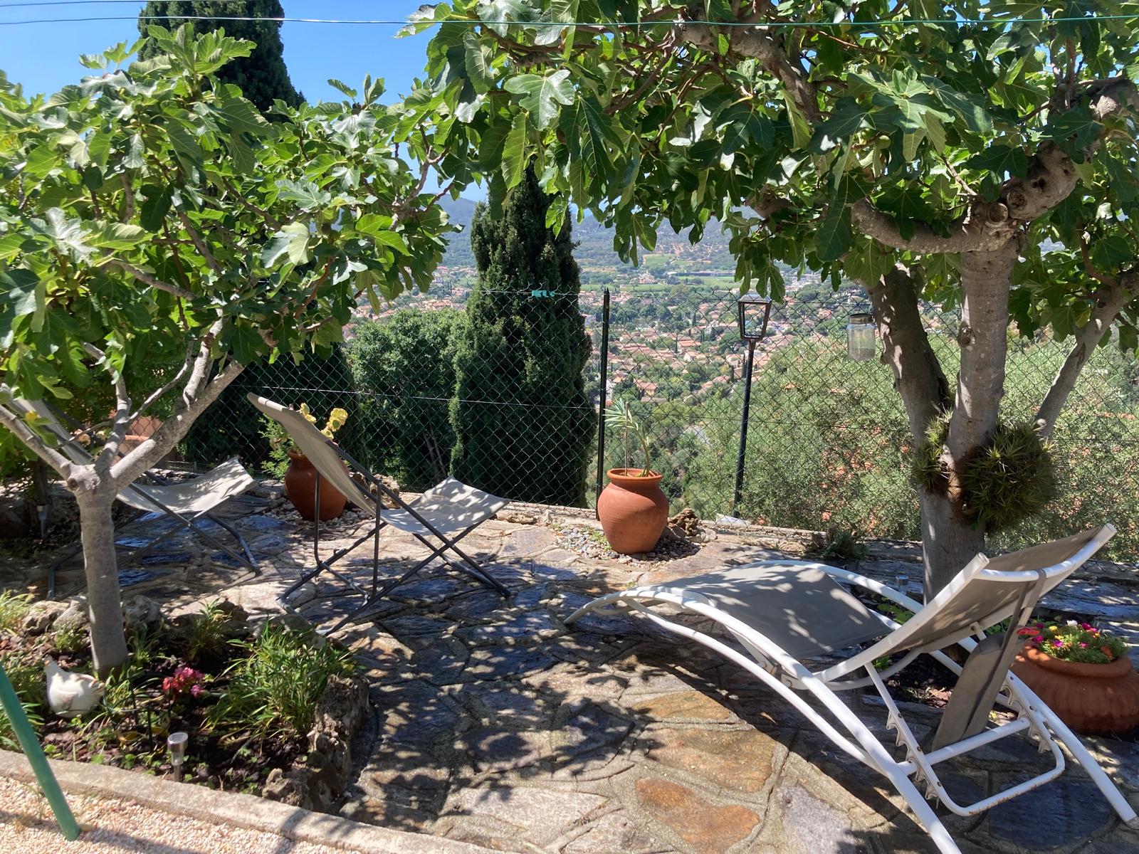 Le jardin