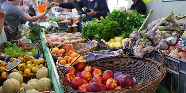 Marchés & vignobles